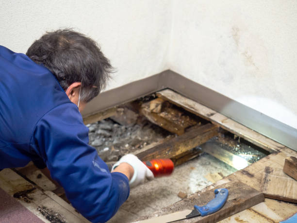 Best Water Damage Restoration  in Watertown, SD