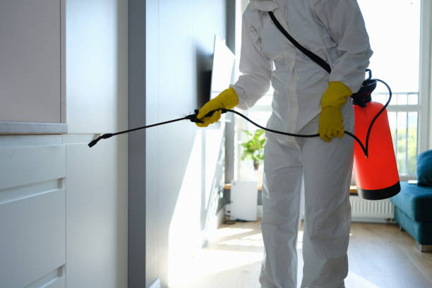 Best Office Mold Removal Services  in Watertown, SD