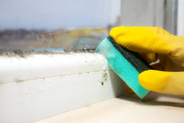 Certified Mold Removal in Watertown, SD