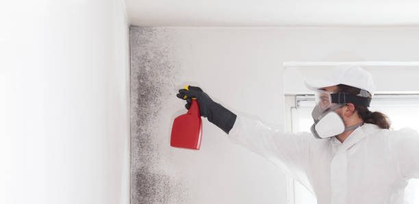 Certified Mold Removal in Watertown, SD